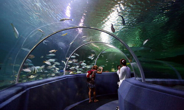 Chiang Mai Aquarium