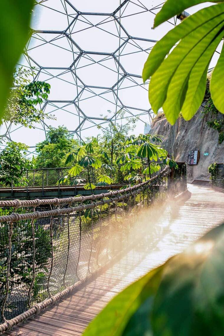 The Rainforest Biome - Eden Project