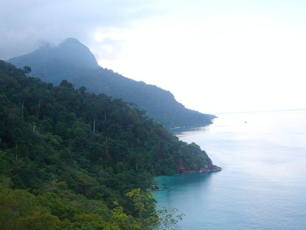 Hutan Pulau Tioman