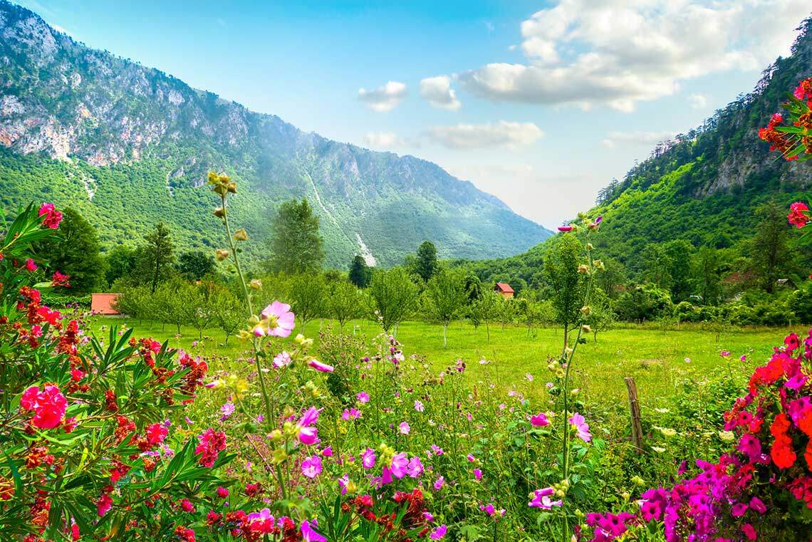 Hari musim panas yang indah di taman Negara Durmitor. Montenegro