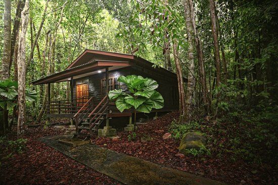 Resort Permai Rainforest