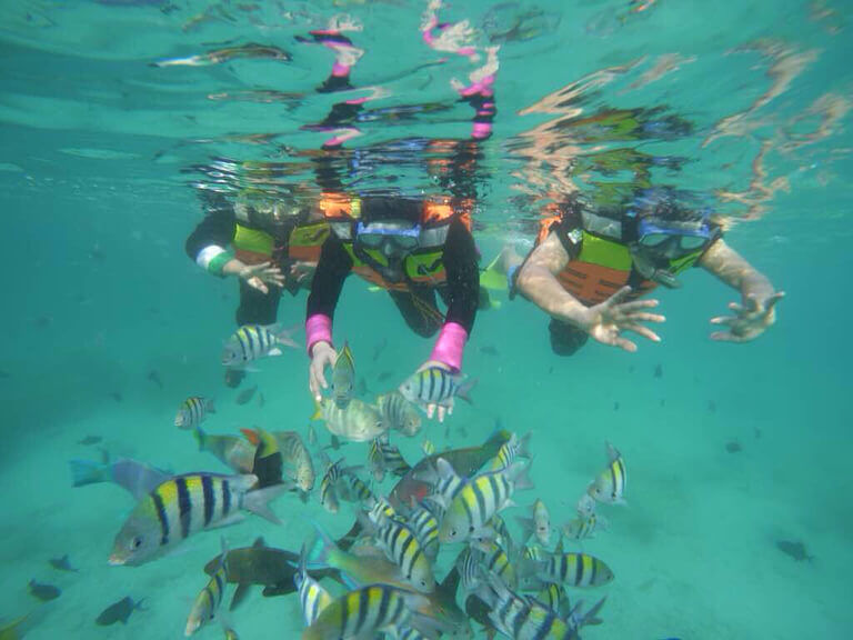 Snorkeling di Iboih