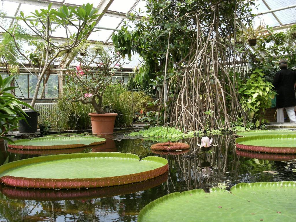 Leiden Botanical Gardens