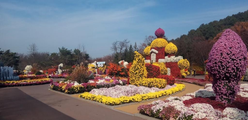 Daegu Arboretum Botanical Garden