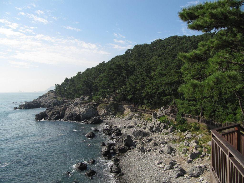 Dongbaekseom Island