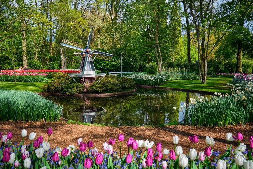Taman bunga Keukenhof, Salah satu taman bunga terbesar di dunia. Lisse, Belanda.