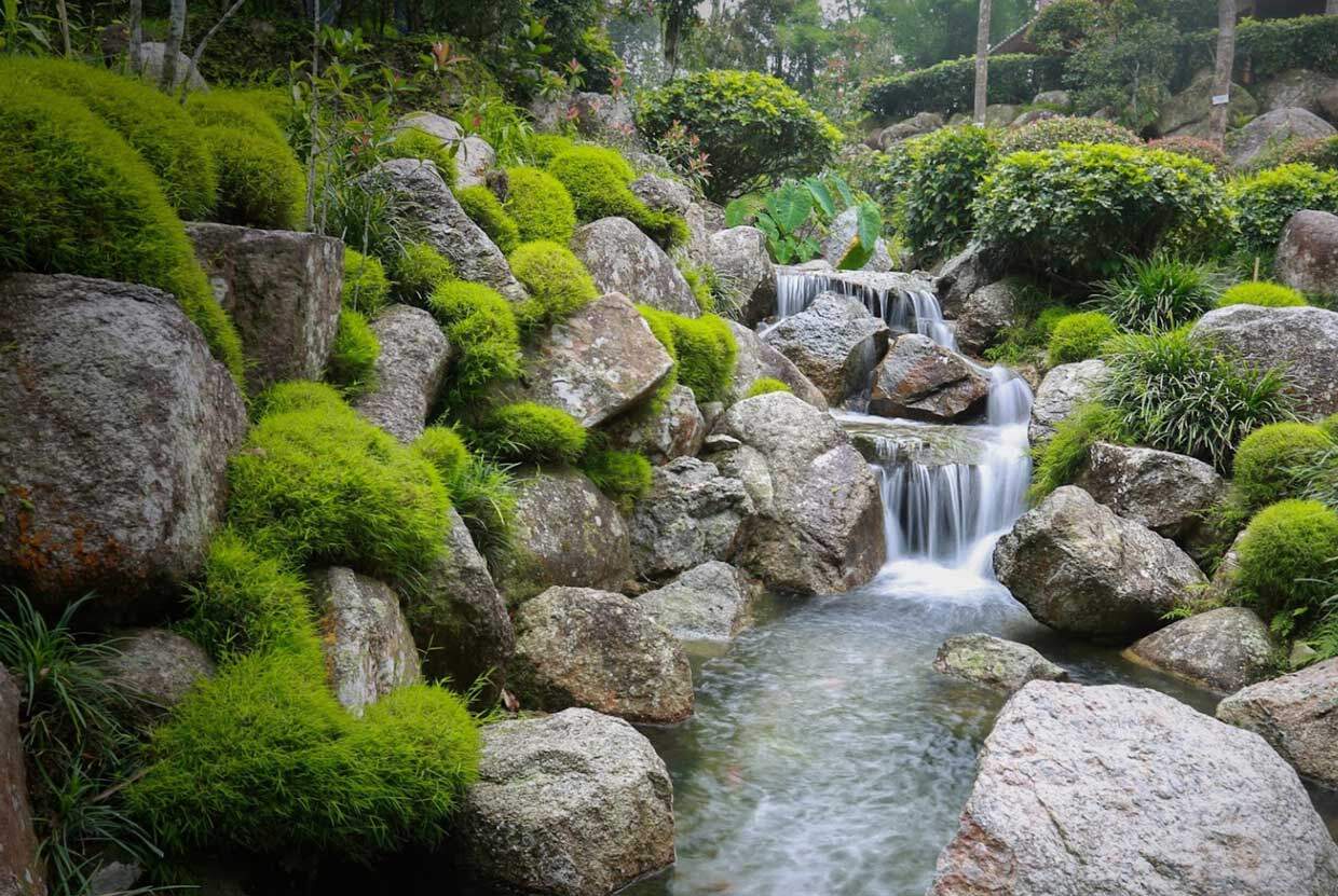 Botanical-Garden-Ali-Abdollahi