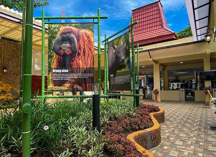 Surabaya-Zoo