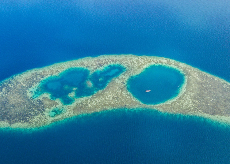 Blue Ring Reef Lahad Datu