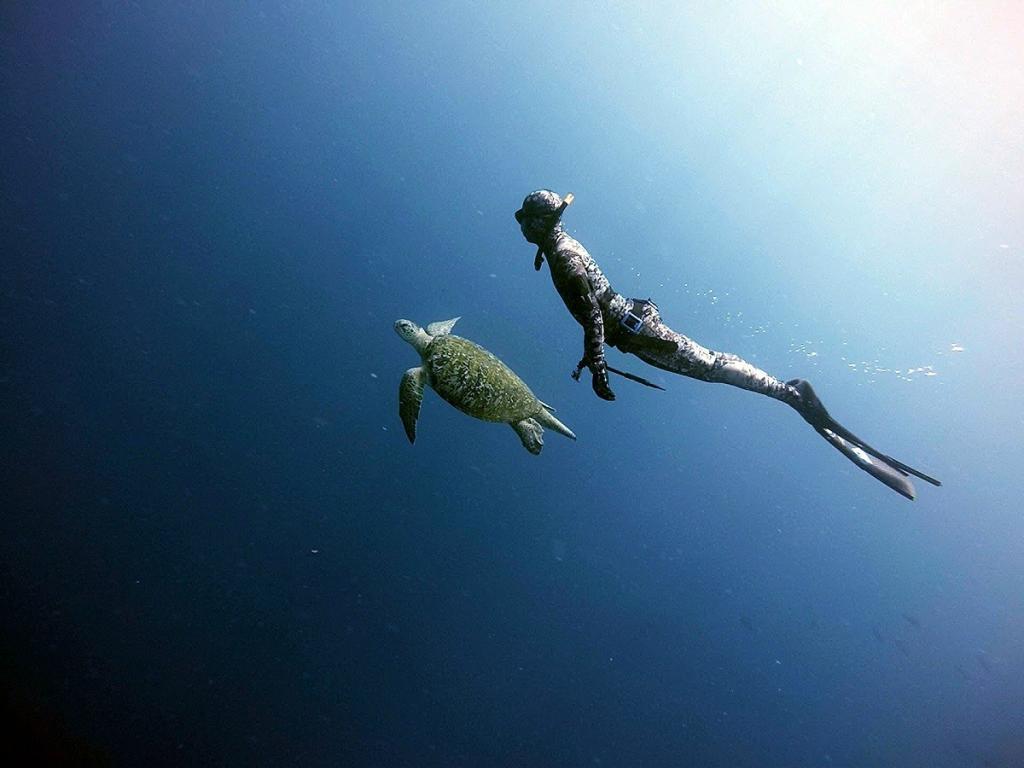 Diving-with-turtle-in-sipadan