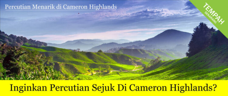 Promo Banner Cameron Highlands