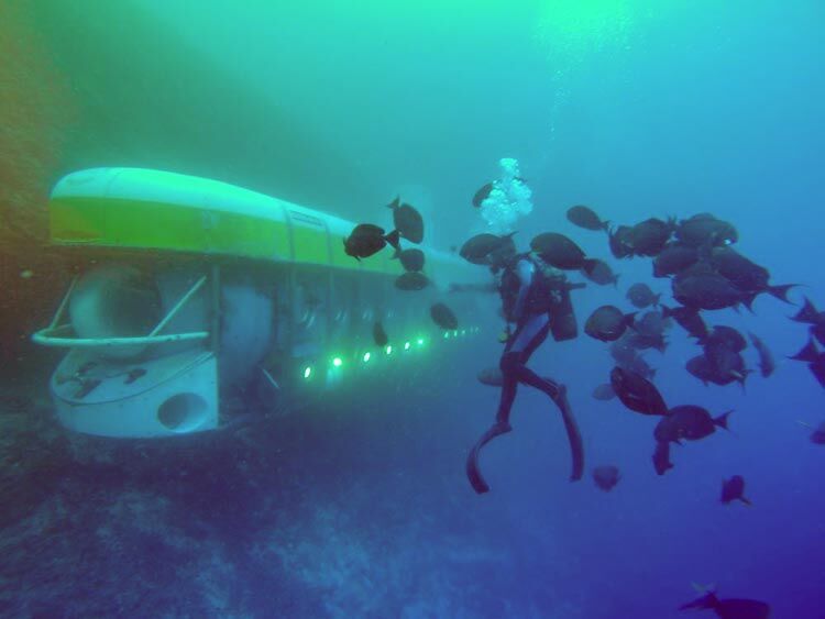 Peluang terbaik dapat menyelam dengan Whale Submarine