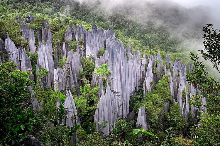 The Pinnacles, Gunung Api, Taman Negara Gunung Mulu