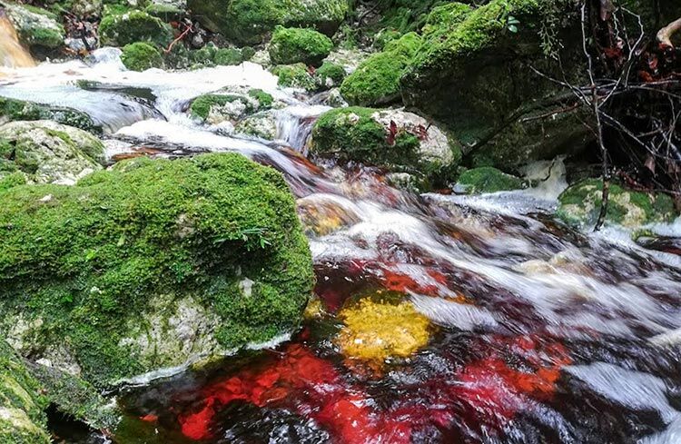 Sungai-Merah-Balung-Kai