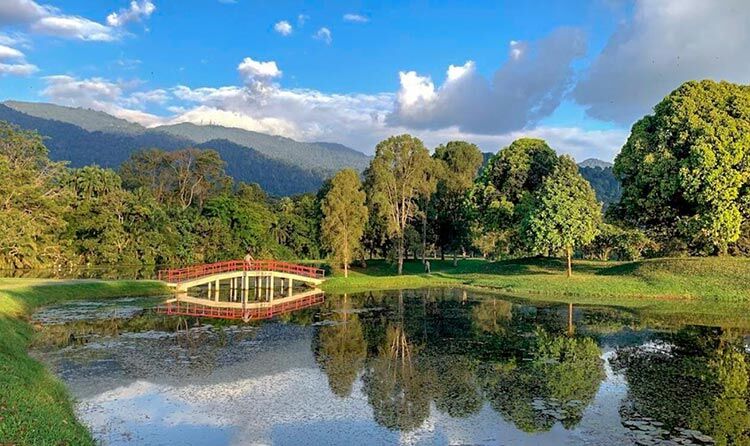 Suasana hijau yang cantik di Taman Tasik Taiping menjadi destinasi pencinta alam untuk beriadah disini