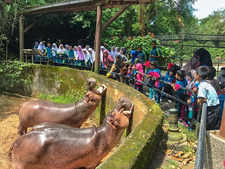 Zoo Taiping masih mendapat sambutan walaupun telah menjangkau usia yang lama