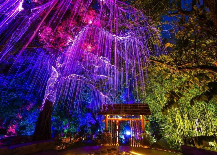 Taman Rahsia Avatar Pulau Pinang adalah salah satu pengalaman paling psychedelic