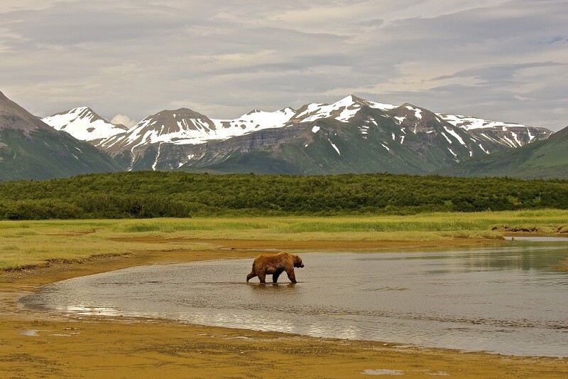 Pemandangan Taman Negara Katmai, Alaska | Imej oleh: Saurin