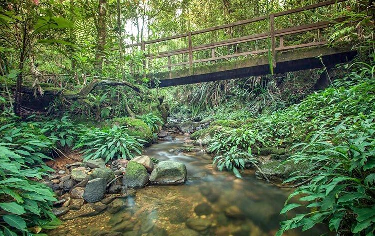 Taman Botani Kinabalu | Imej oleh: Amin Rahim