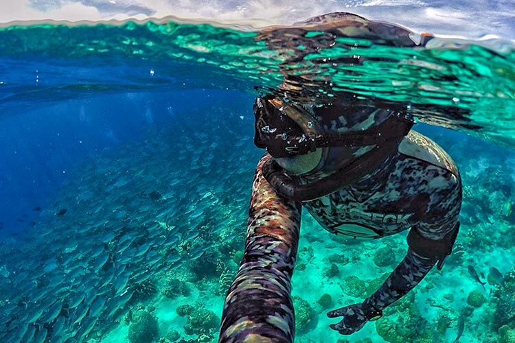 Aktiviti 'Free Dive' dan snorkeling di Pulau Sipadan