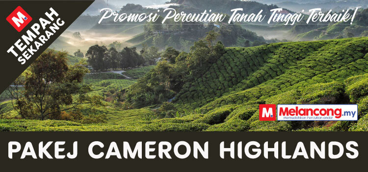 Promo-Banner-Cameron-Highlands