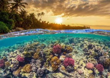 Pulau Mantanani