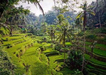 Percutian-Ke-Bali-Indonesia
