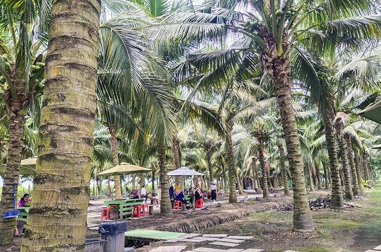 Sekinchan-Coconut-Farm-Kuang-Wah-Goh