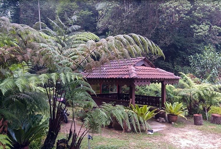 Taman-Botani-Bangi-UKM-Faizal-Abdullah