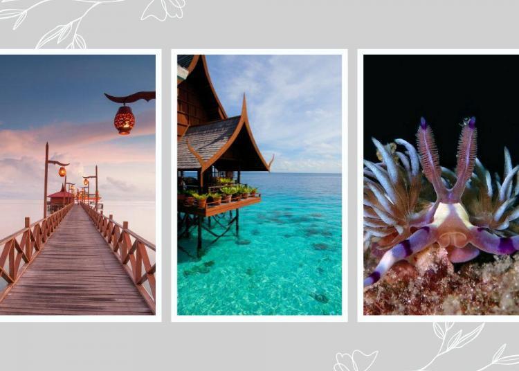 tempat-menarik-di-pulau-mabul