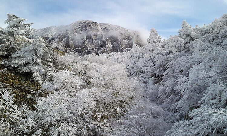 halla-mountain-and-snow-nambyeok-tony-kim