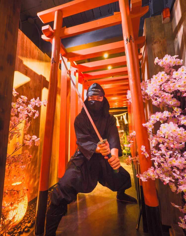 Ninja Trick House In Tokyo