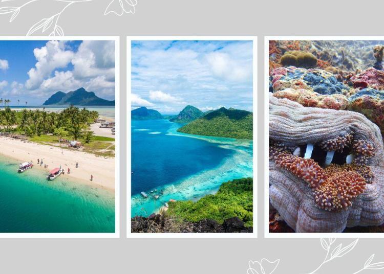 pulau-di-sabah