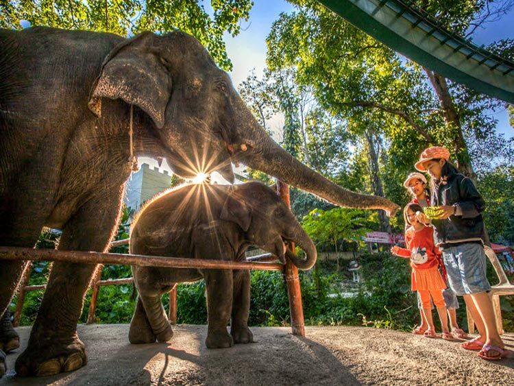 Songkhla-Zoo