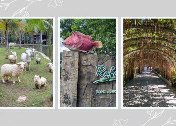 Refarm Kampar