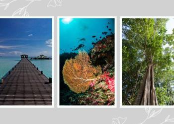 pulau sipadan malaysia