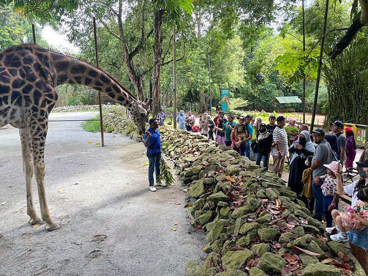 Zoo Melaka Taman Burung