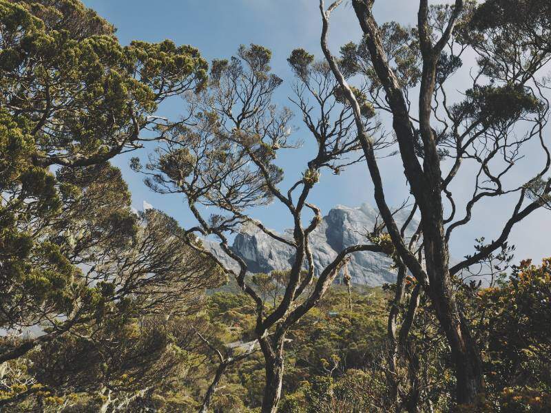 Taman-Kinabalu