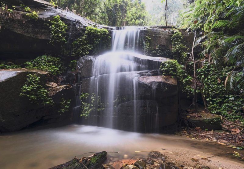 Tupah-Recreational-Forest-Dr-Che-Supian