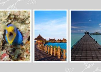 melancong-ke-pulau-mabul