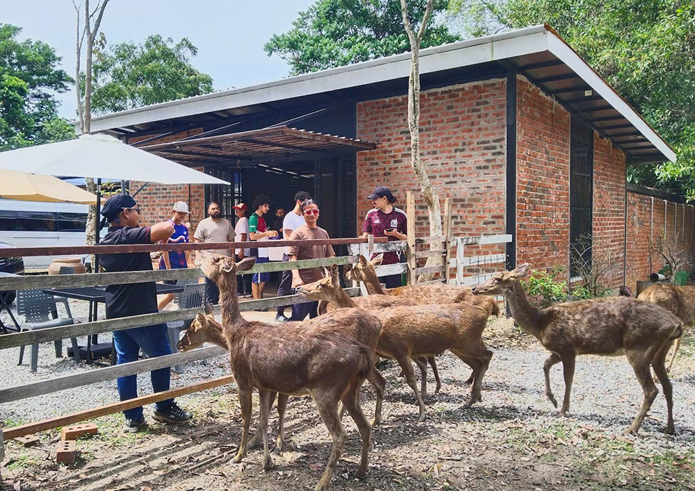 Batas Ubi Deer Farm