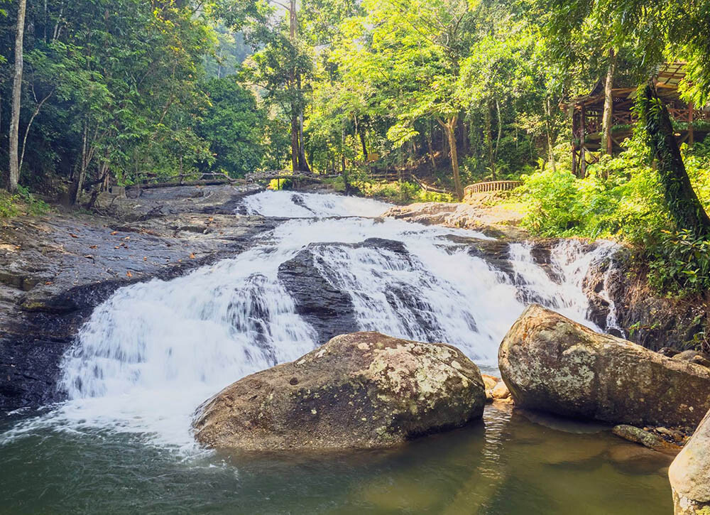 Hutan Lipur Bukit Hijau