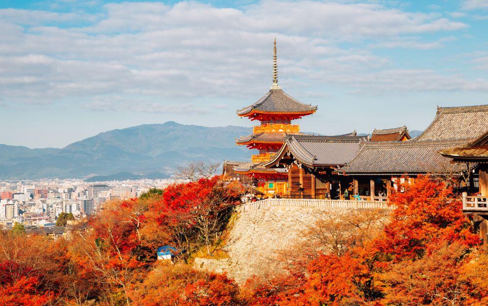 Kyoto autumn leaves red maple