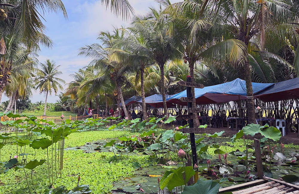 Ladang Nira Nipah Napiah