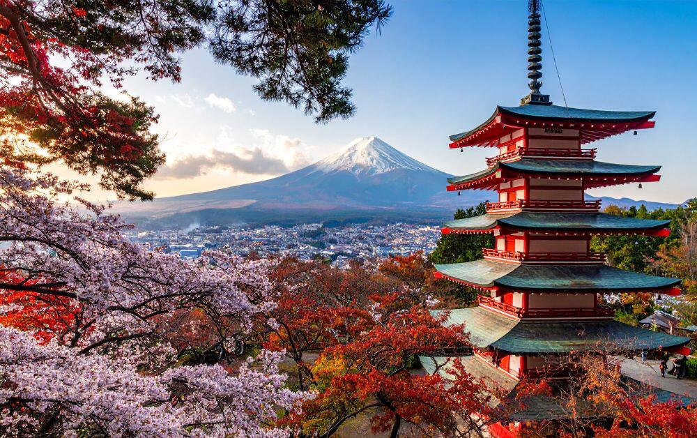 Mt Fuji with Chureito Pagoda and cherry blossoms