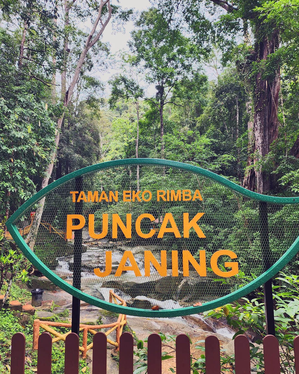 Puncak Janing