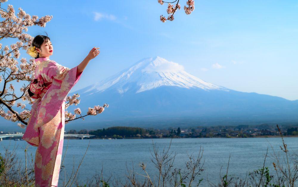 Shinkansen bullet train passing Mt Fuji