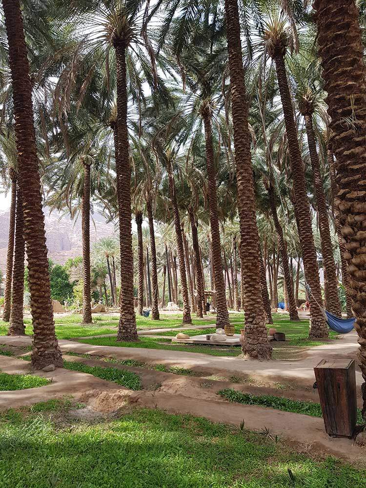 vertical-photograph-of-the-stunning-oasis-al-ula