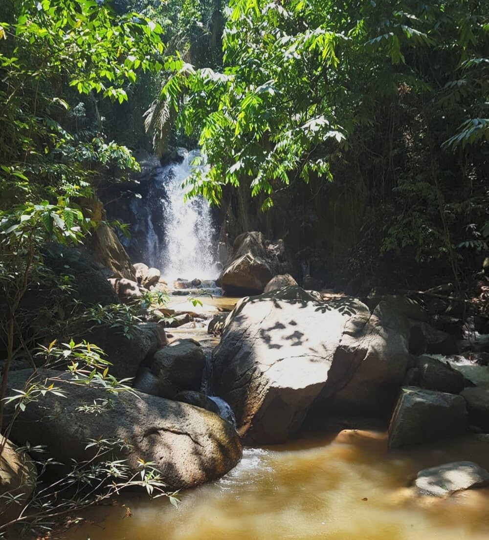 Kesyar Falls Eco Sanctuary