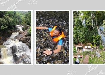 Panduan Bercuti di Tasik Kenyir